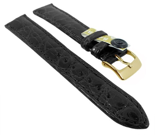 Barington coccodrillo - barington,